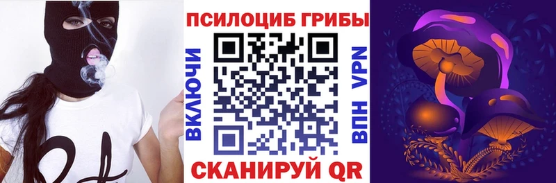 Псилоцибиновые грибы Psilocybe  Усть-Илимск 